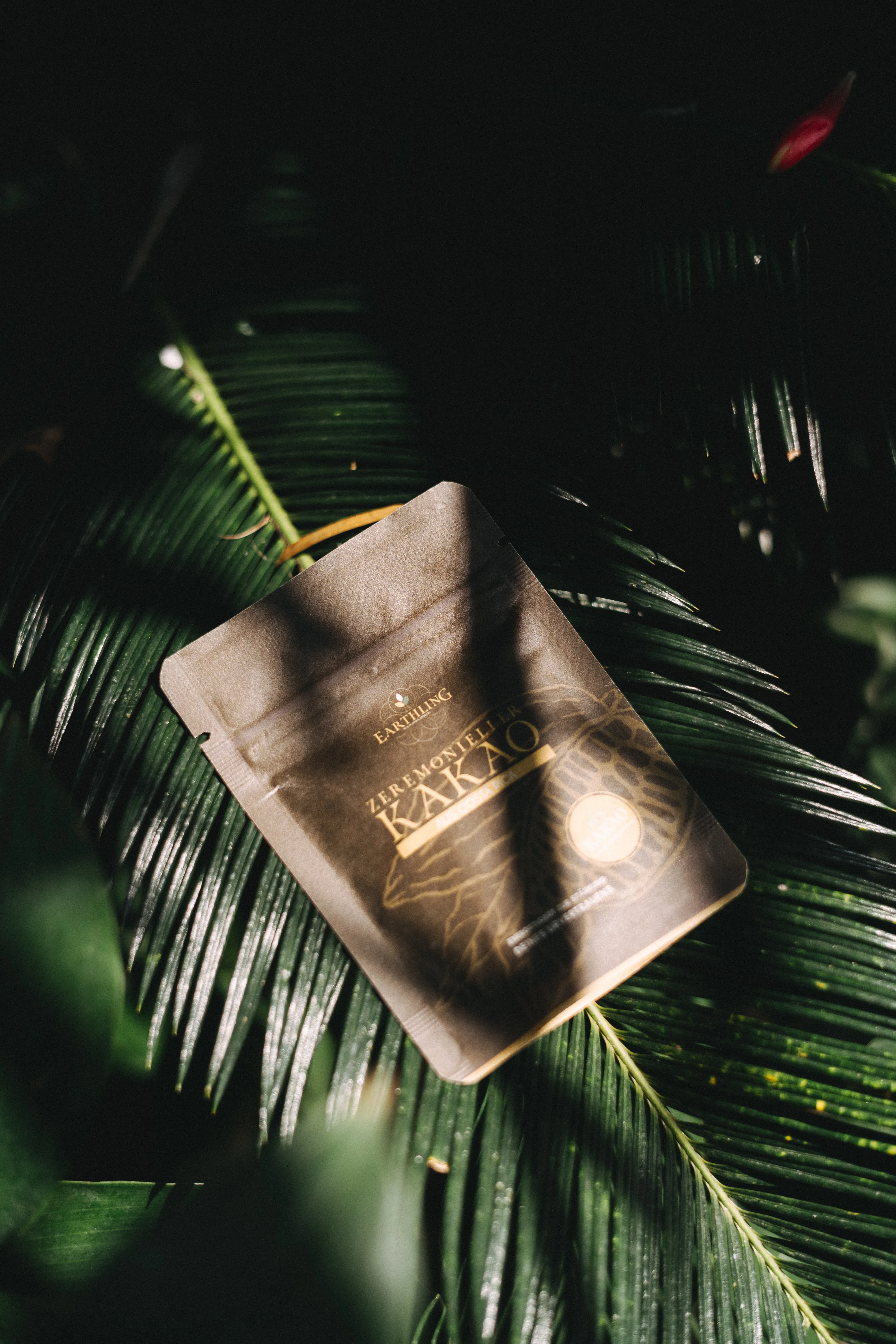 Zeremonieller Kakao aus Costa Rica Probepackung