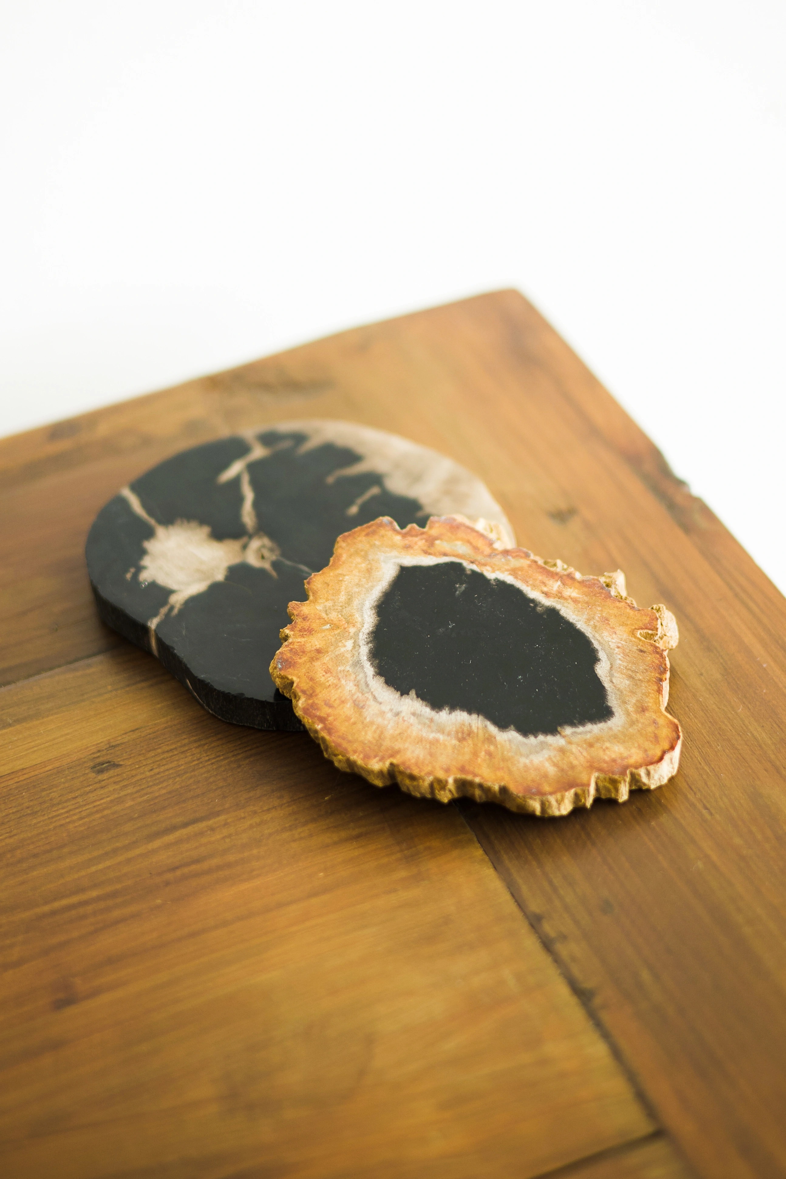 Versteinertes Holz Coaster