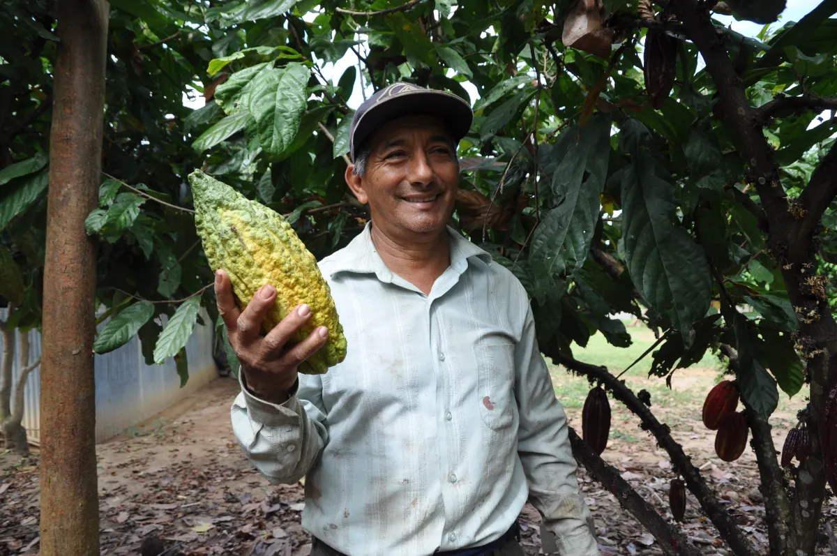 Zeremonieller Kakao Packung
