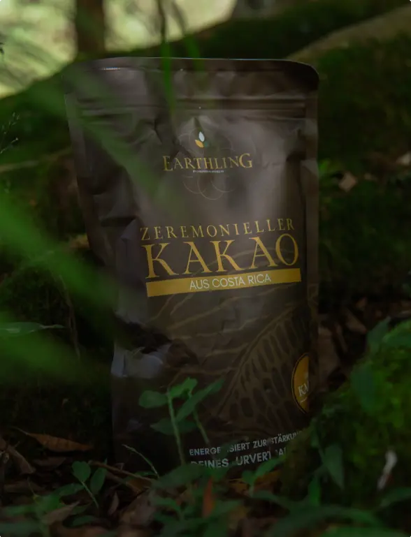 Zeremonieller Kakao
